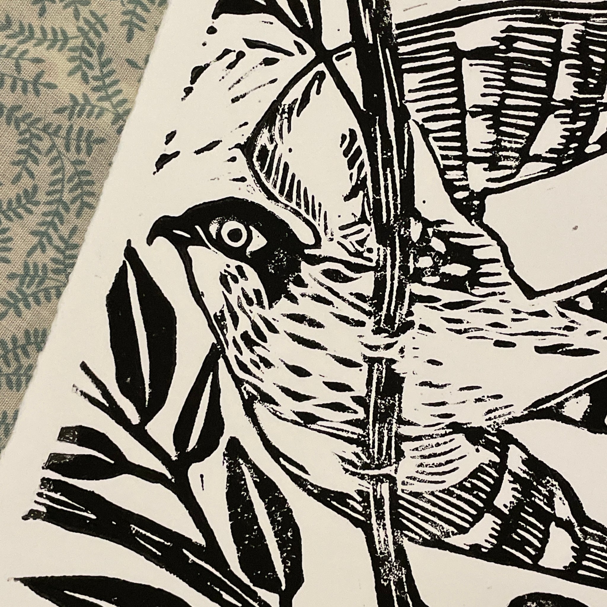 The Gentle Hawk print