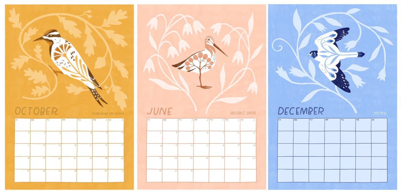 Three calendar cards with bird illustrations for October, June, and December on orange, pink, and blue backgrounds respectively.